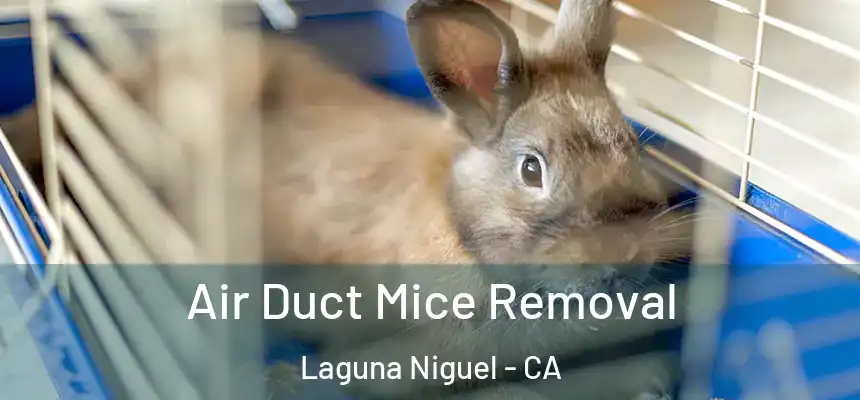  Air Duct Mice Removal Laguna Niguel - CA