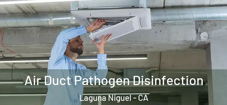 Air Duct Pathogen Disinfection Laguna Niguel - CA
