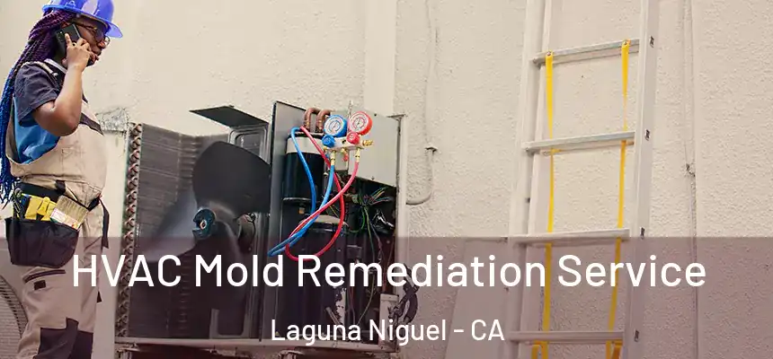 HVAC Mold Remediation Service Laguna Niguel - CA