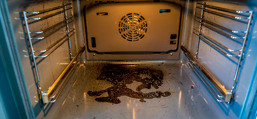 Our Dryer Vent Mold Cleaning Services in Laguna Niguel, CA