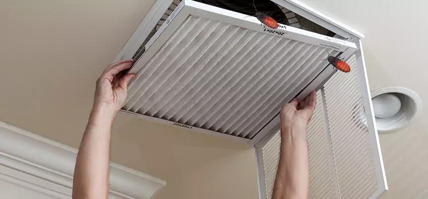 Our Insect Removal from Air Ducts Services in Laguna Niguel, CA