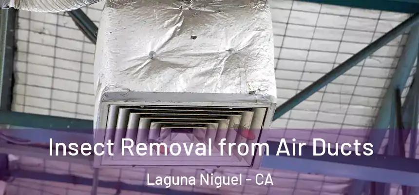Insect Removal from Air Ducts Laguna Niguel - CA