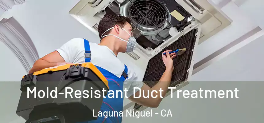  Mold-Resistant Duct Treatment Laguna Niguel - CA