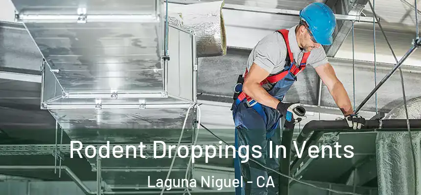 Rodent Droppings In Vents Laguna Niguel - CA