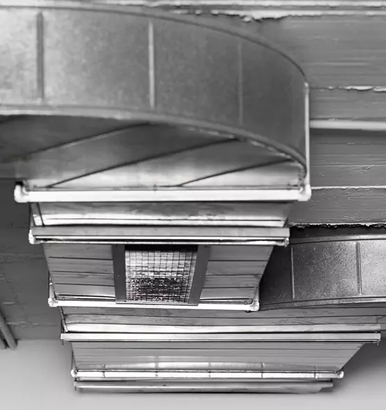 Professional Air Duct Pet Hair Removal in Laguna Niguel, CA