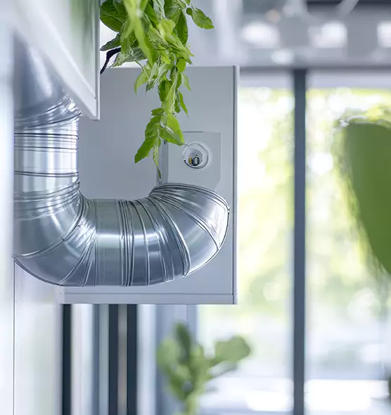 Professional Eco-Friendly Duct Cleaning Services in Laguna Niguel, CA