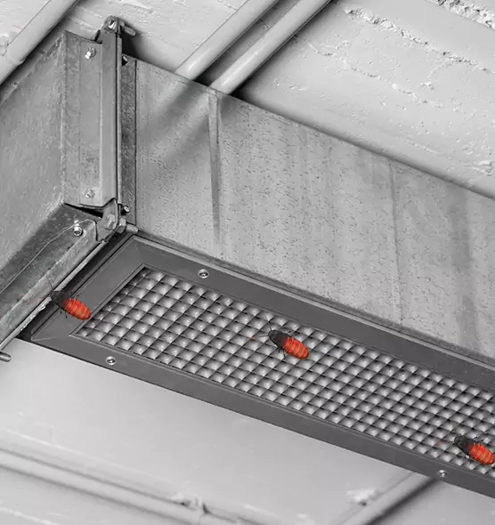 Affordable Insect Removal from Air Ducts in Laguna Niguel, CA