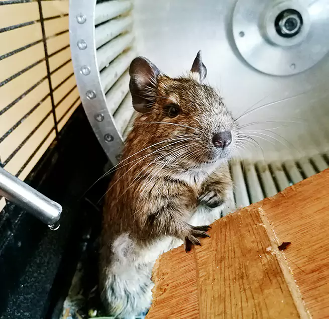 Why Homeowners & Businesses Trust Us Laguna Niguel, CA