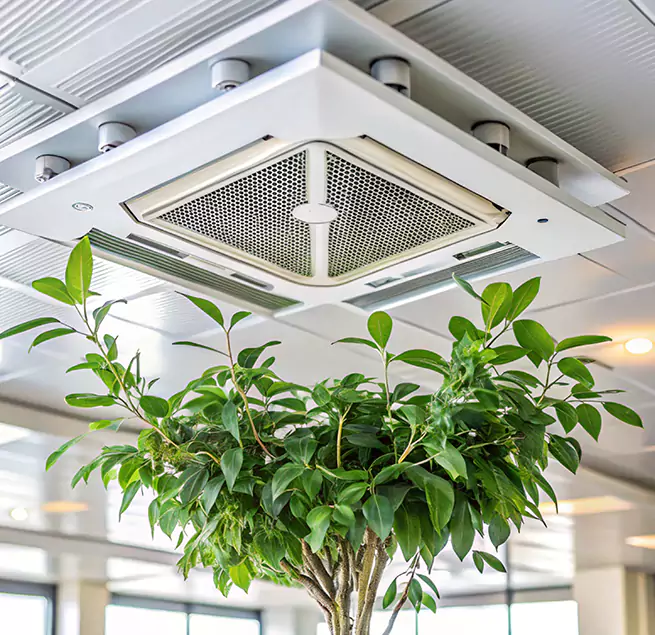 Why Homeowners & Businesses Trust Us in Laguna Niguel, CA?