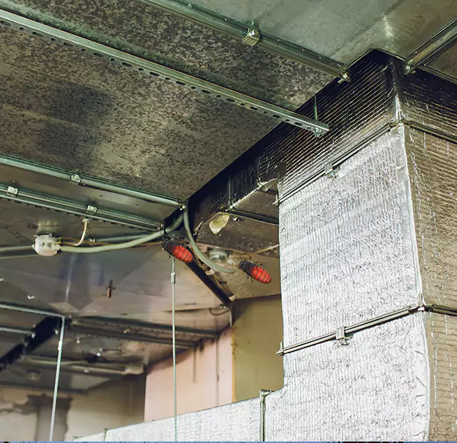 Why Homeowners & Businesses Trust Us Laguna Niguel, CA?